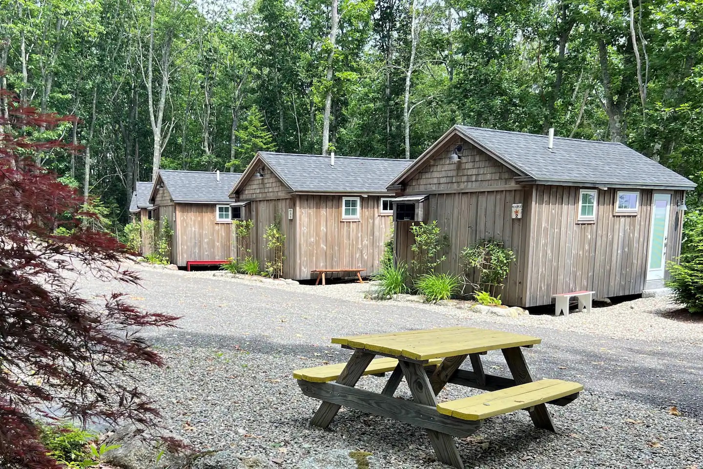 Welcome to Balsam cabin! Our cozy retreat is nestled in a tranquil setting surrounded by towering trees and lush greenery.